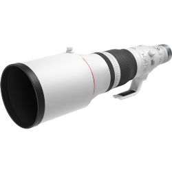 Canon RF 600mm f/4 L IS USM Lens