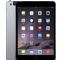 Apple -MH3E2LL/A 16GB iPad mini 3