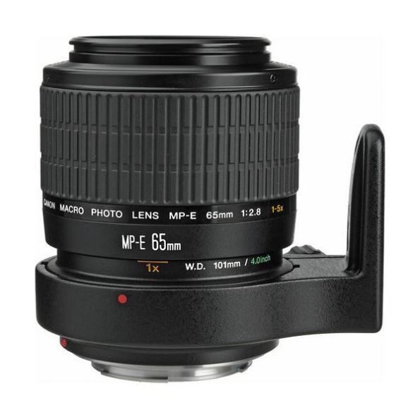 Canon MP-E 65mm f/2.8 1-5x Macro Photo Lens